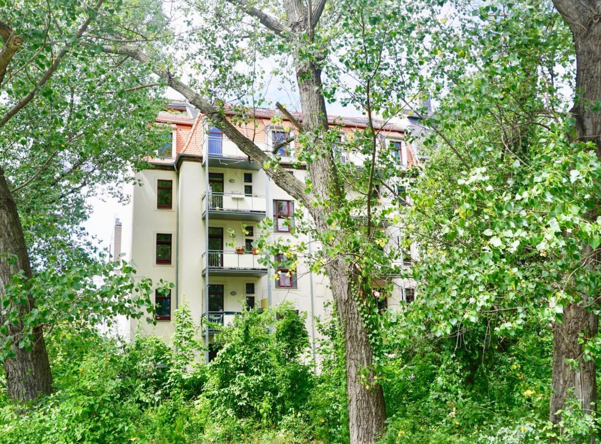 Manitius 9, Dd-friedrichstadt Apartment Dresden