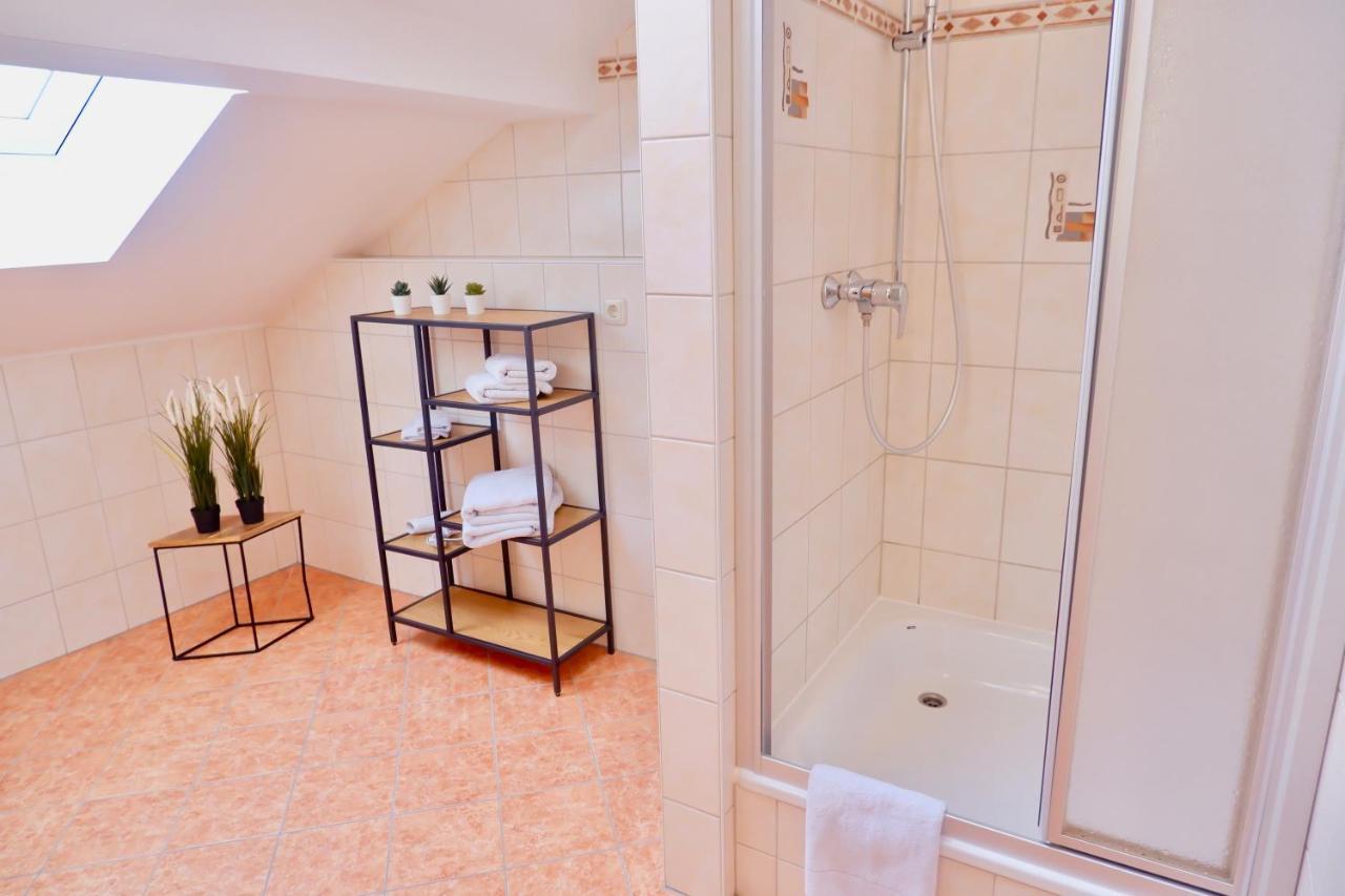 Manitius 9, Dd-friedrichstadt Apartment Dresden